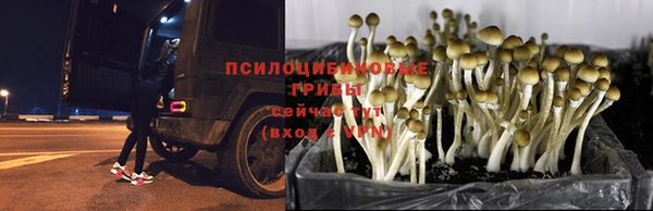 MDMA Premium VHQ Баксан