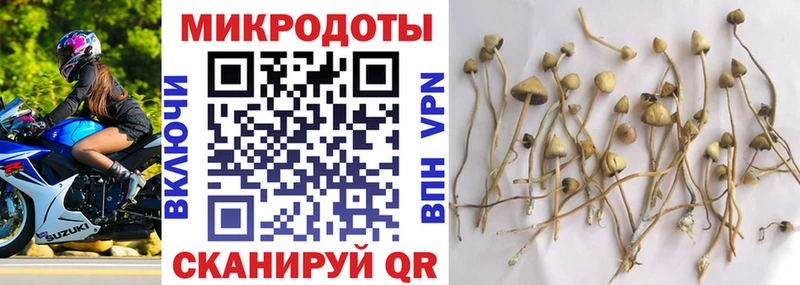 наркошоп  Козельск  МЕГА ONION  Галлюциногенные грибы Psilocybe 